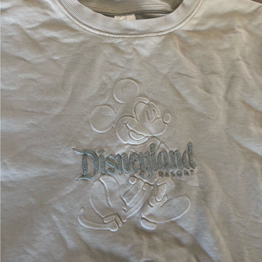 Disney Embroidered Crewneck Sweatshirt - Light Sage Green